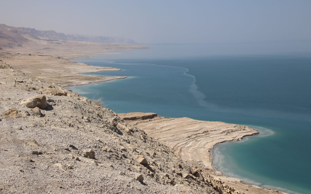 The Dead Sea contains no plant or animal life