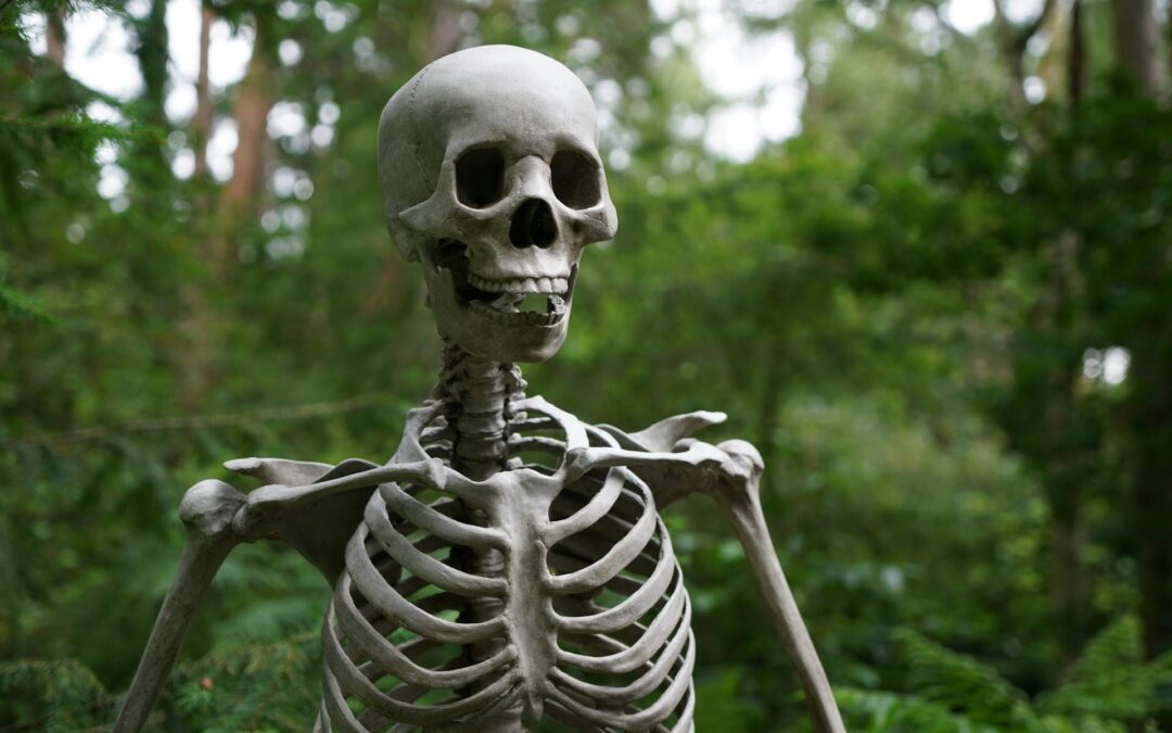 The human skeleton continues to grow until the age of 35.