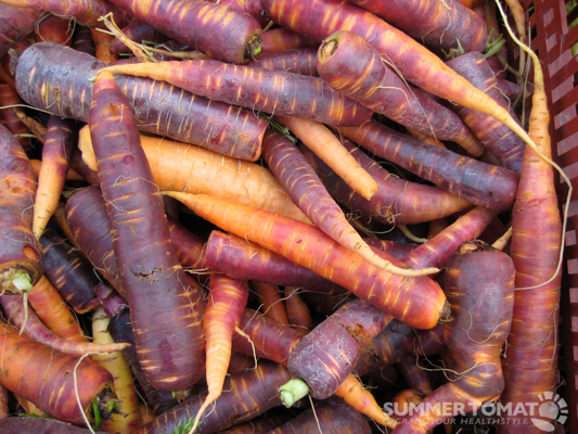 Carrots used to be purple instead of orange